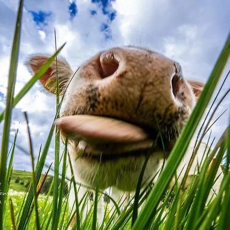 Appartement Gaestehaus Seewald- 1 